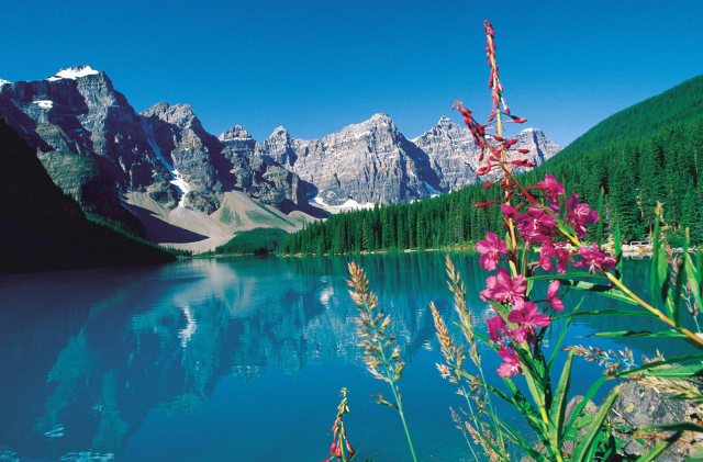 For a getaway that's a little closer to home, Canada is the perfect backyard to explore. While Niagara Falls may be one of its most famous travel attractions, there are plenty more natural wonders to take in from skiing the slopes of Whistler Blackcomb—the largest ski area in North America—to Vancouver Island's picture-perfect snowy peaks and rainforests waiting to be explored. For city-dwellers, Montreal's French metropolis boasts shopping, dining, historic buildings and art. Where to stay: The Fairmont Chateau Lake Louise in Alberta, fairmont.com.