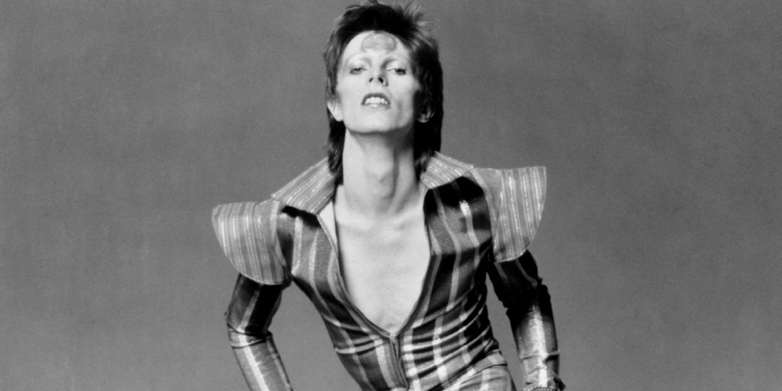 David Bowie 写真集 「Bowie Style」　海外盤 David Bowie 写真集 「Bowie Style」 海外盤 David Bowie 写真集