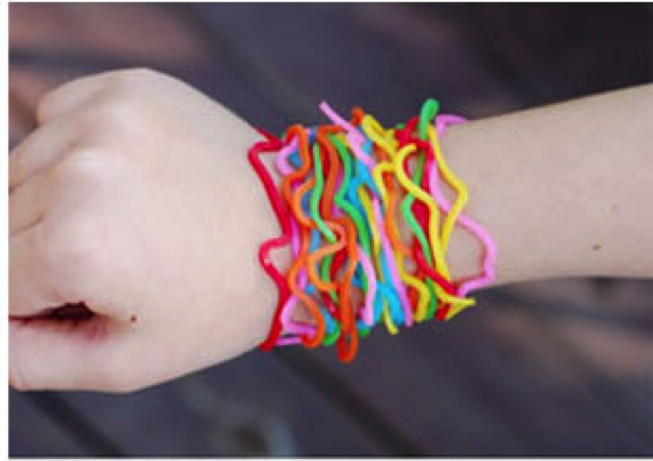 Silly Bandz Jewelry Accessories Trend for Kids and Adults