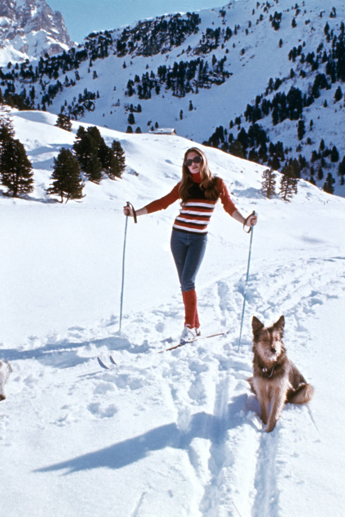 Ski Bunny Ski Bunny